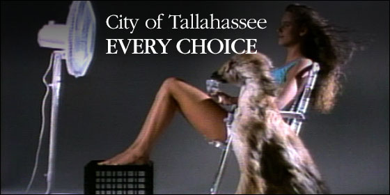 City of Tallahassee Every Choice